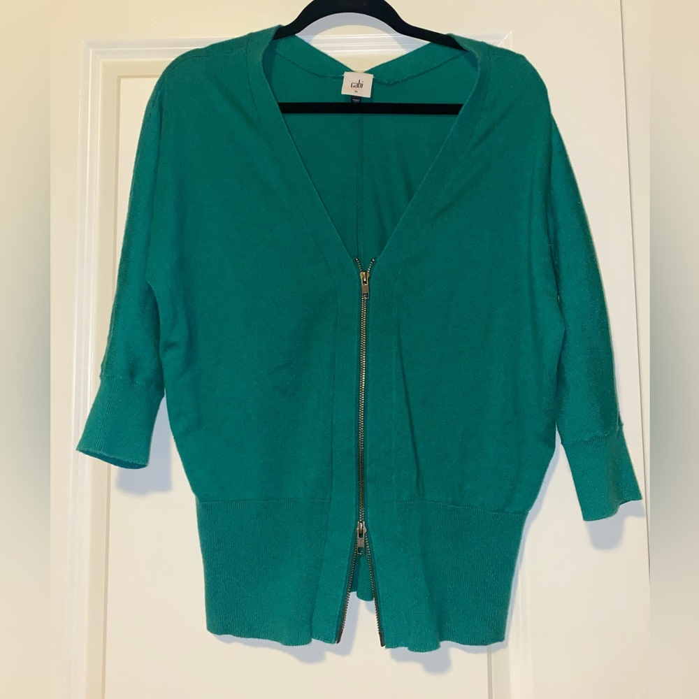 CAbi Banner Sweater